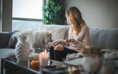 5 Tips to Improve Indoor Air Quality in a Pet-Friendly Home